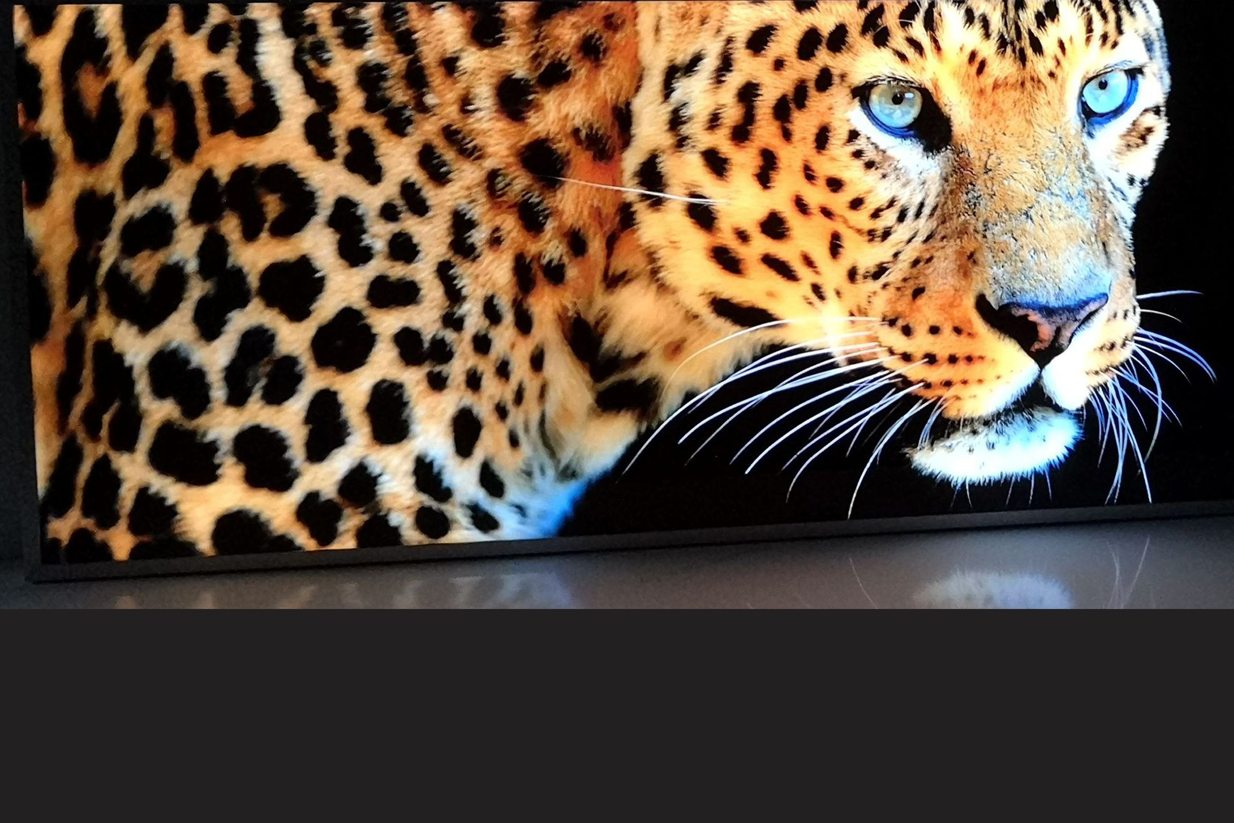 LED- Glasbild 